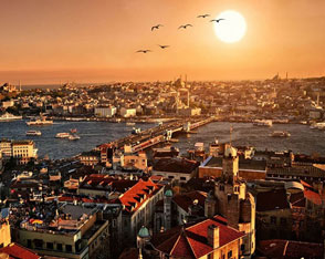 db.tour-related.title